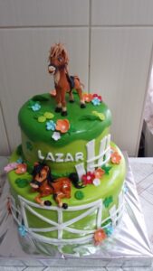 torte za decu maja (35)